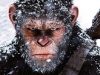 War for Planet of the Apes review: A satisfying end to the best SF/F series in years